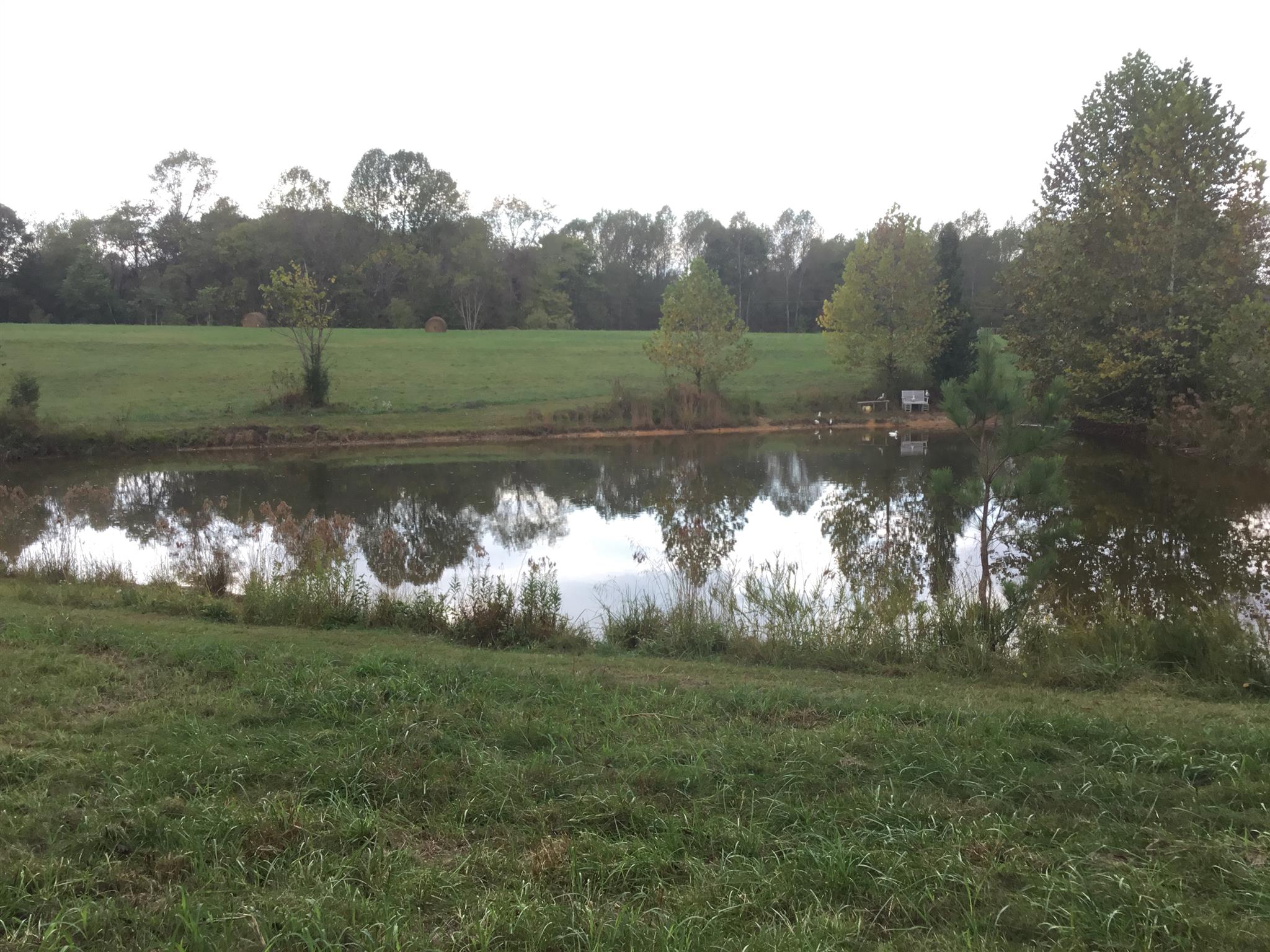 2138 Spring Creek Road Lafayette, TN 37083 - Photo 7 of 10 Gallery Image 7
