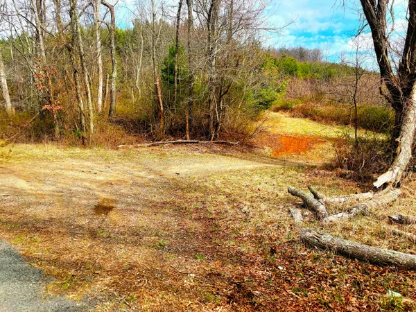 a view of a yard with wooden fence