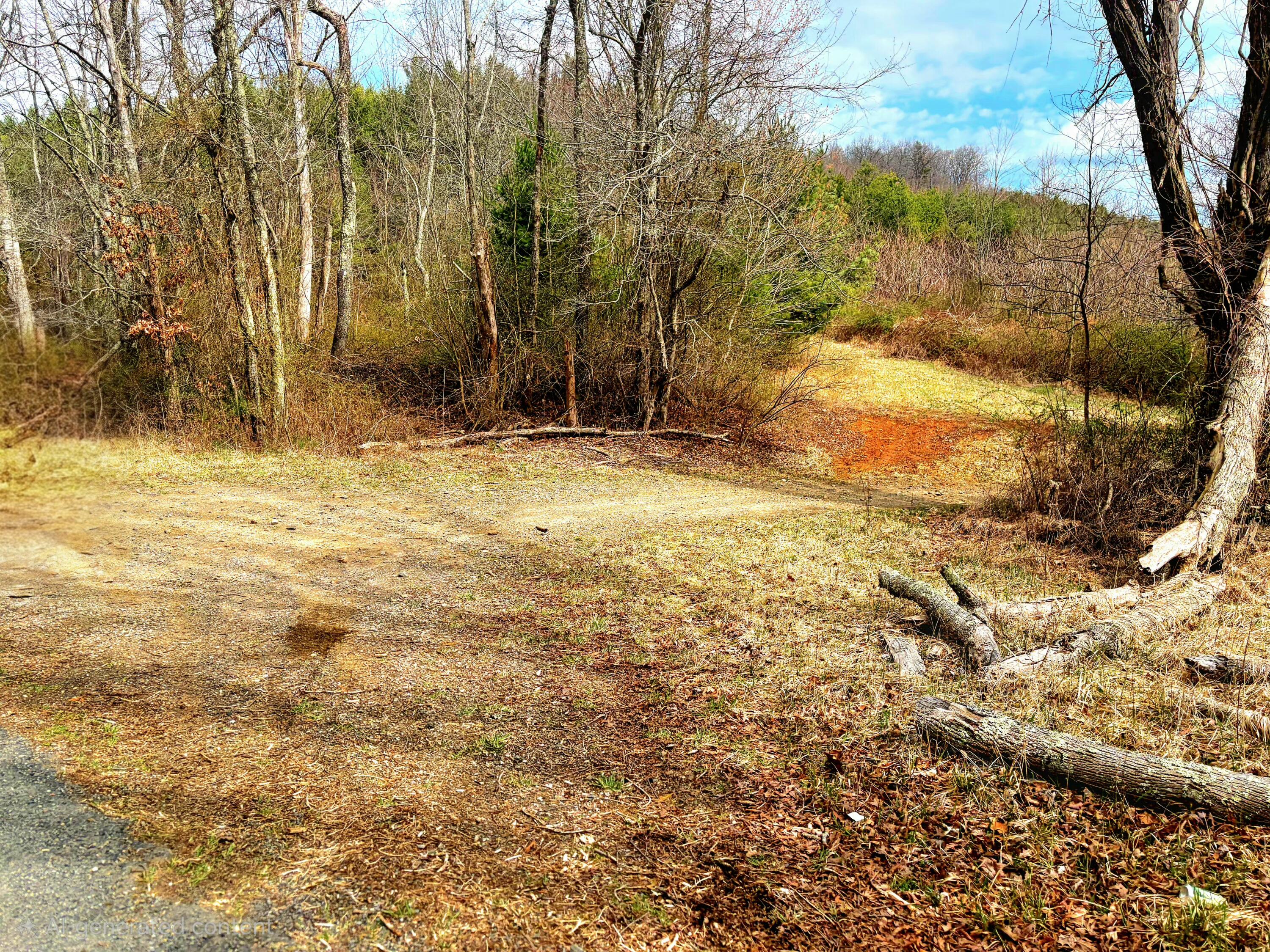 a view of a yard with wooden fence
