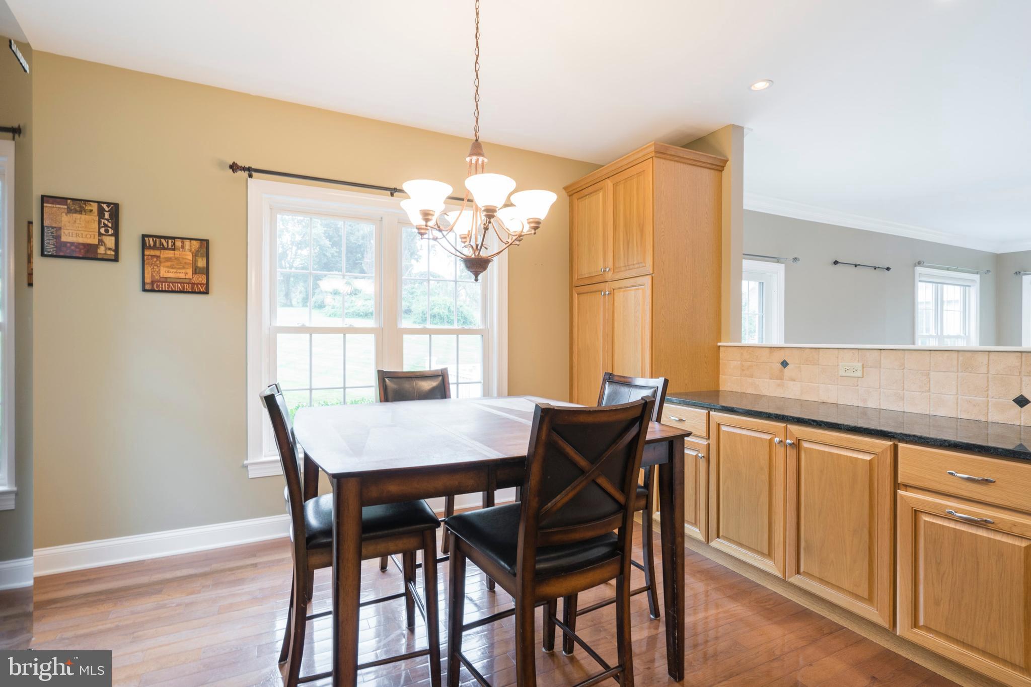 1615 Manley Road West Chester, PA 19380 - Photo 14 of 43 Eat In Kitchen/plenty of cabinet storage
