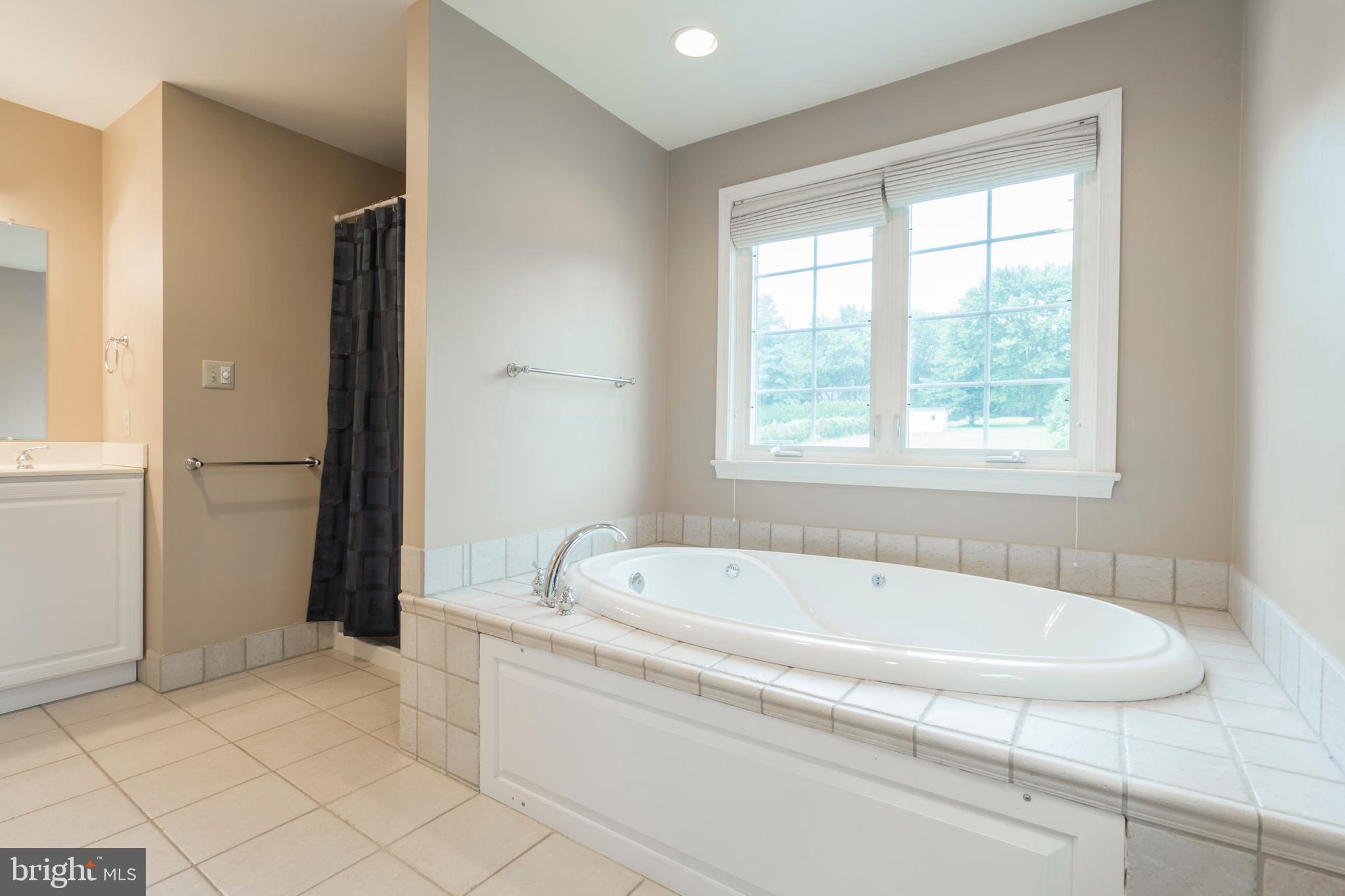1615 Manley Road West Chester, PA 19380 - Photo 29 of 43 Master Bath/Soaking tub