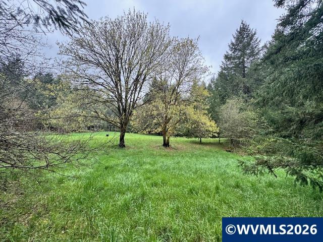 23939 Raze Road Elmira, OR 97437 - Photo 38 of 46