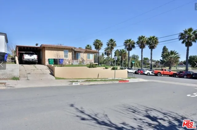 a view of a yard with palm tree