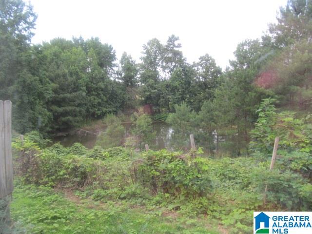 2931 Wilson Chapel Road Altoona, AL 35952 - Photo 23 of 36