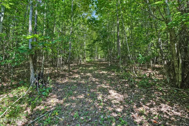 $799,500 | 4790 Roane State Highway, Rockwood, TN 37854