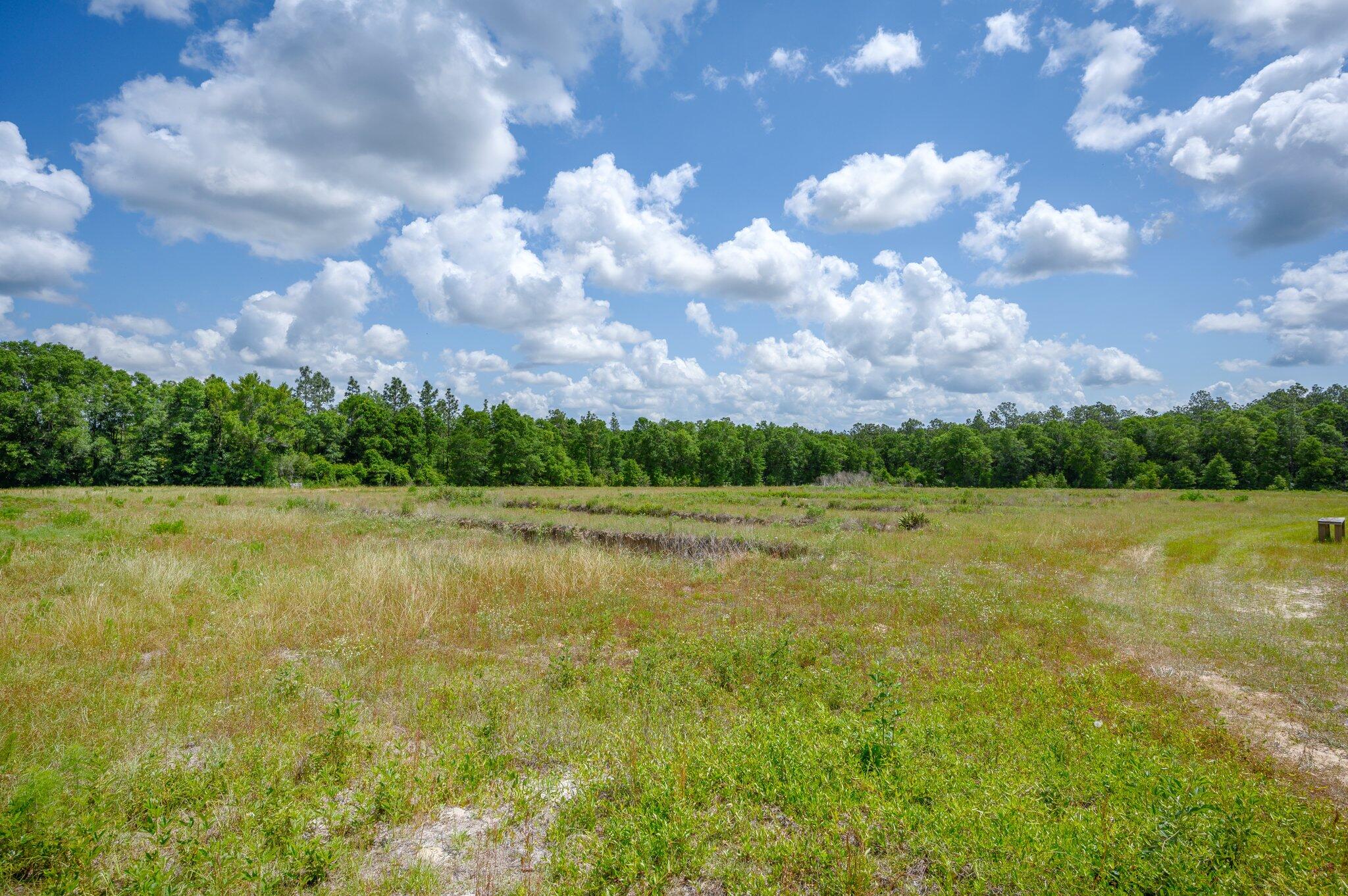 4675 Hardy Adams Road Holt, FL 32564 - Photo 61 of 72 62-web-or-mls-4675 Hardy Adams Rd-062
