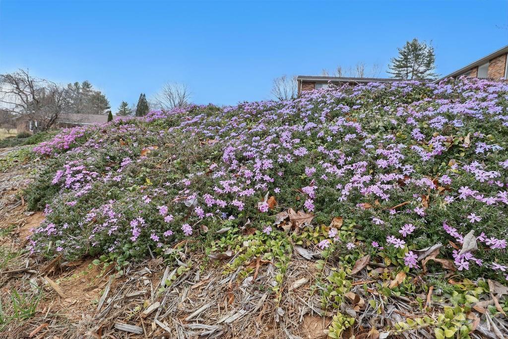 114 Falling Waters Road, Unit 2 Hendersonville, NC 28792 - Photo 22 of 22
