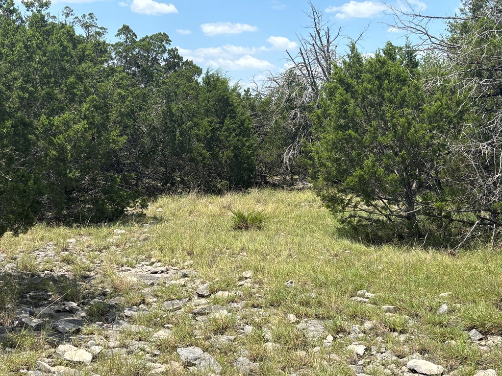 1815 Cr 310 Rocksprings Tx 78880 Rocksprings, TX 78880 - Photo 8 of 11