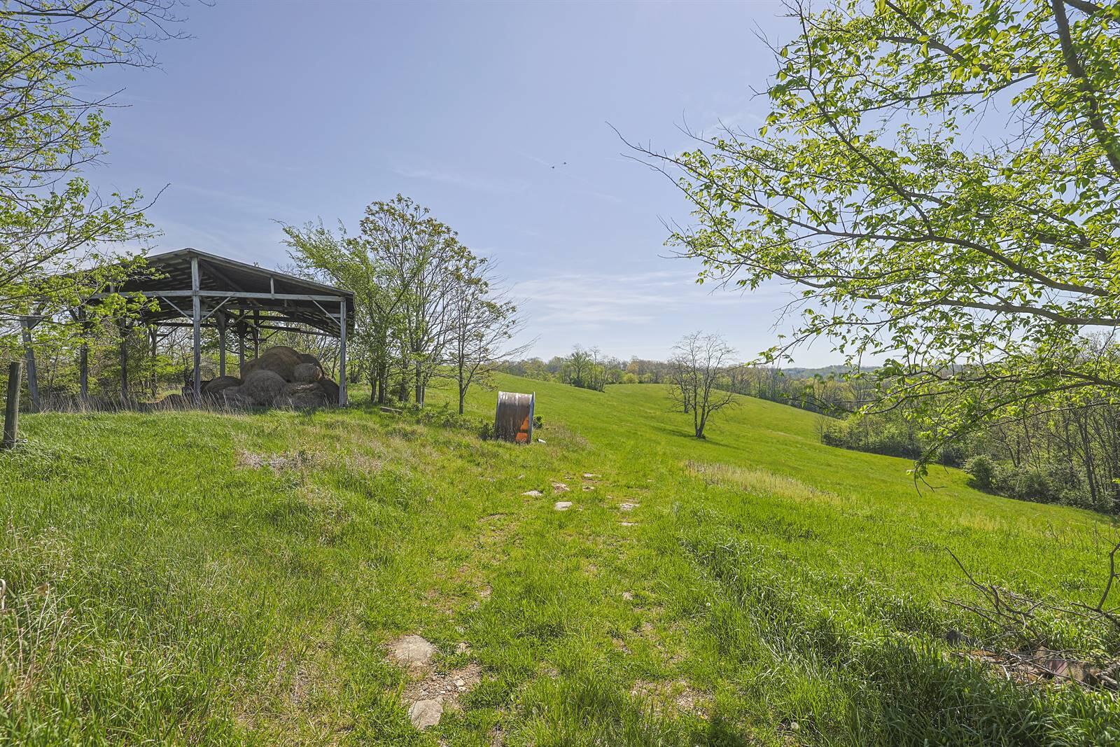 360 Day Hill Road Foster, KY 41043 - Photo 30 of 50