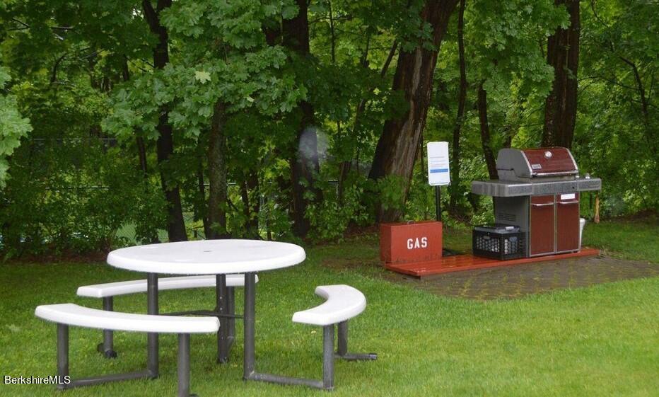 260 Pittsfield Road, Unit F17 Lenox, MA 01240 - Photo 28 of 33 PicnicArea