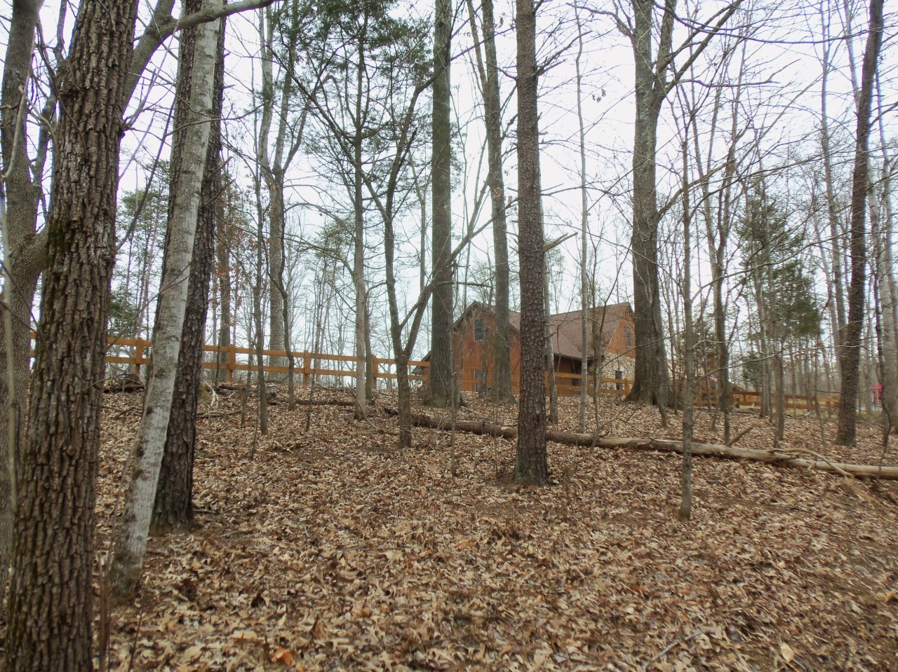 4963 Altice Road Moneta, VA 24121 - Photo 56 of 69 house on approach