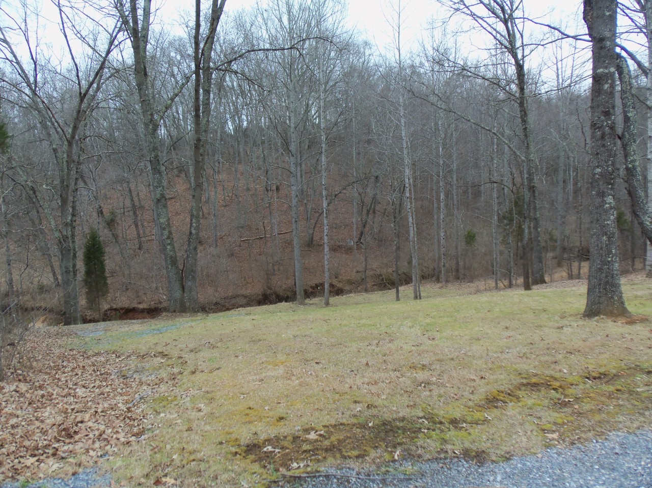 4963 Altice Road Moneta, VA 24121 - Photo 57 of 69 View to creek