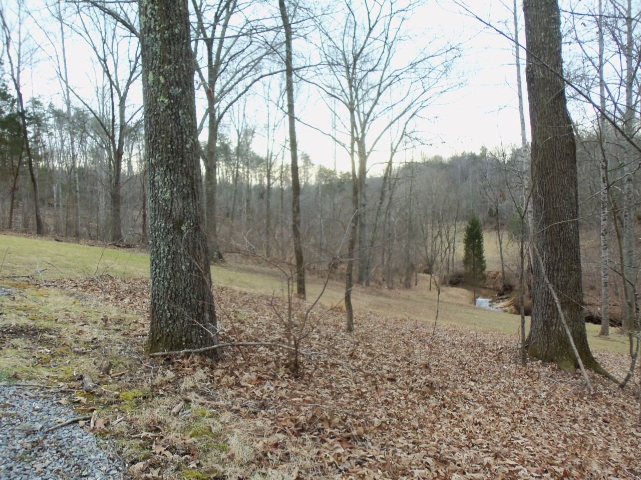 4963 Altice Road Moneta, VA 24121 - Photo 58 of 69 area near creek