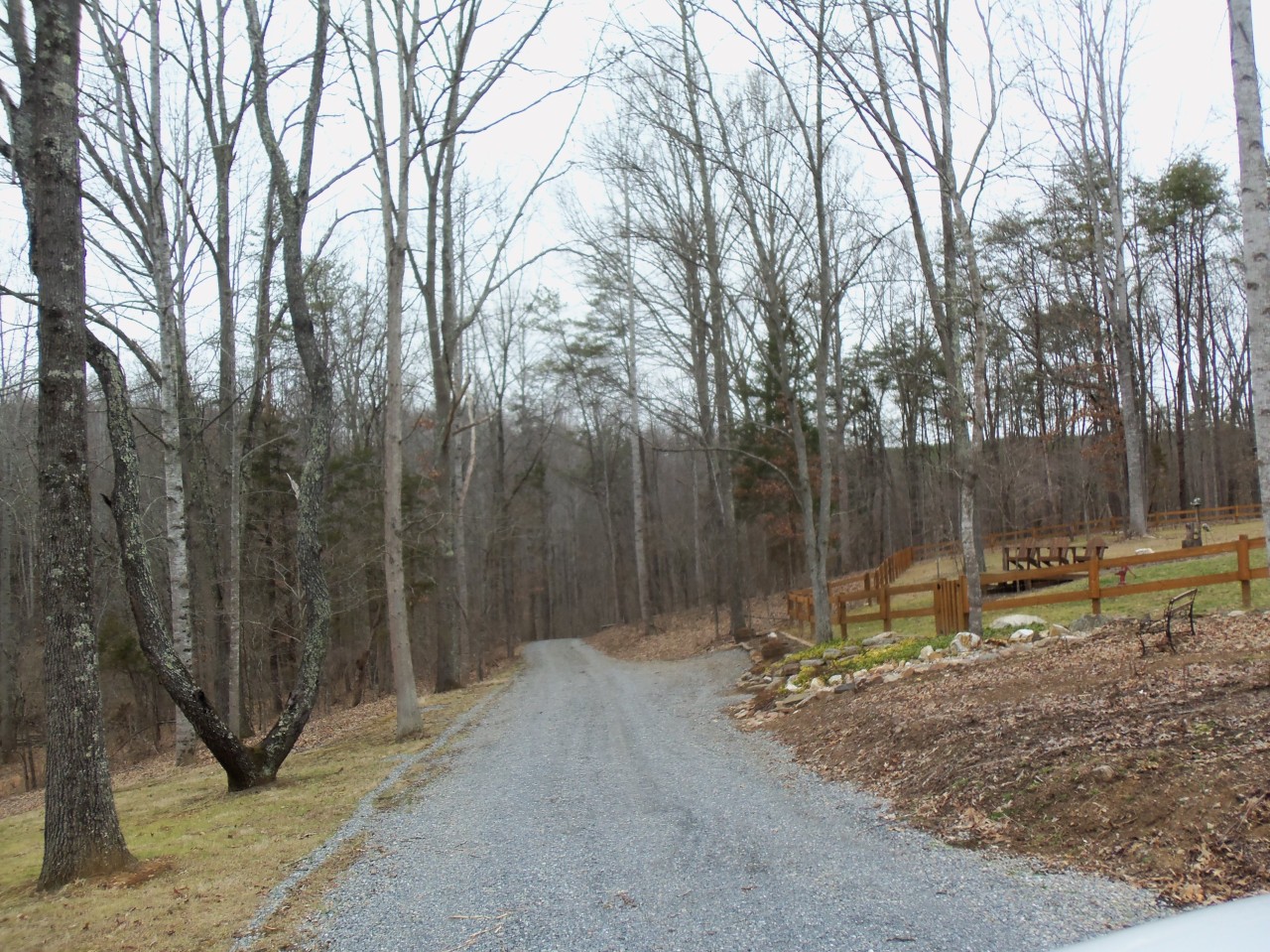 4963 Altice Road Moneta, VA 24121 - Photo 59 of 69 view of drive & wooded property