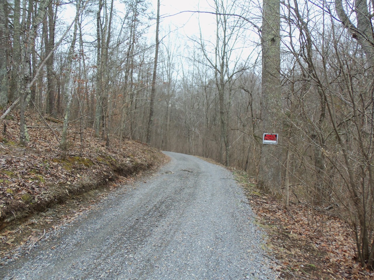 4963 Altice Road Moneta, VA 24121 - Photo 62 of 69 private drive
