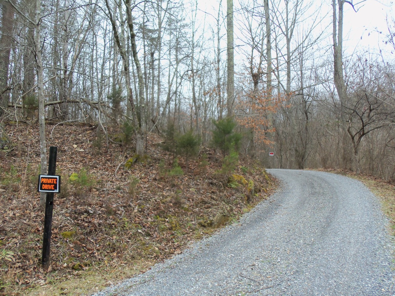 4963 Altice Road Moneta, VA 24121 - Photo 63 of 69 private drive