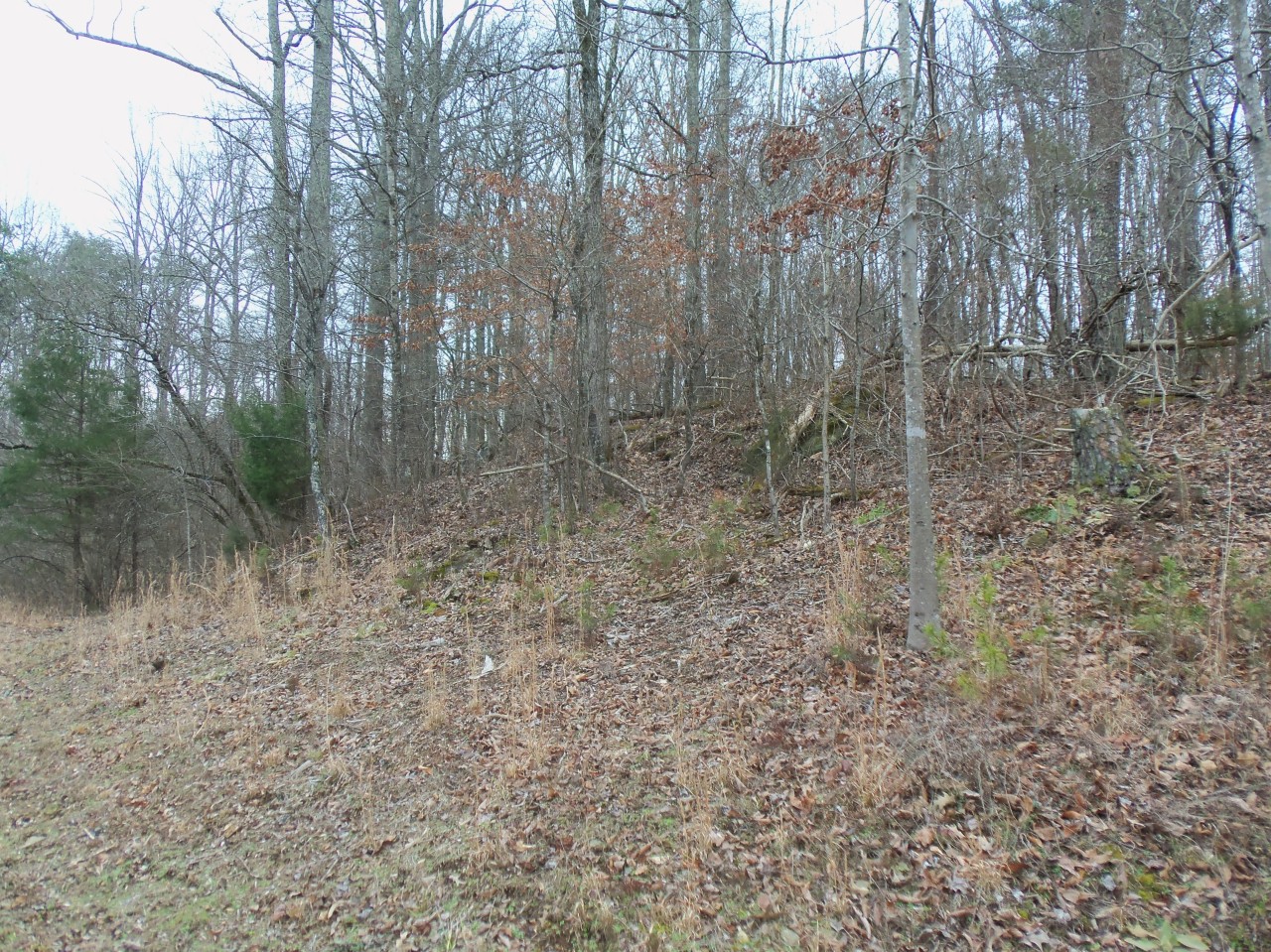 4963 Altice Road Moneta, VA 24121 - Photo 64 of 69 road frontage of property