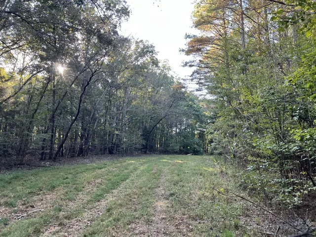 a view of an outdoor space with a tree
