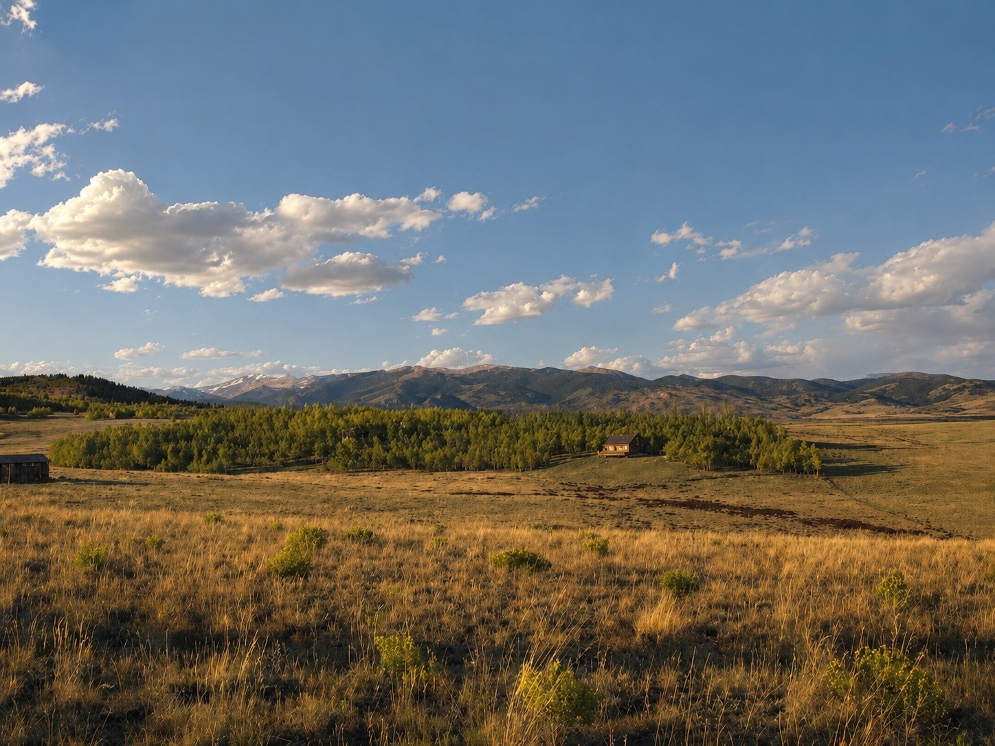 1327 Michigan Hill Road Jefferson, CO 80456 - Photo 7 of 9