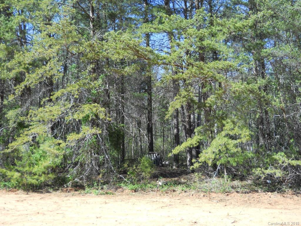 1011 Timber Spring Lane Salisbury, NC 28147 - Photo 1 of 1 Gallery Image 1