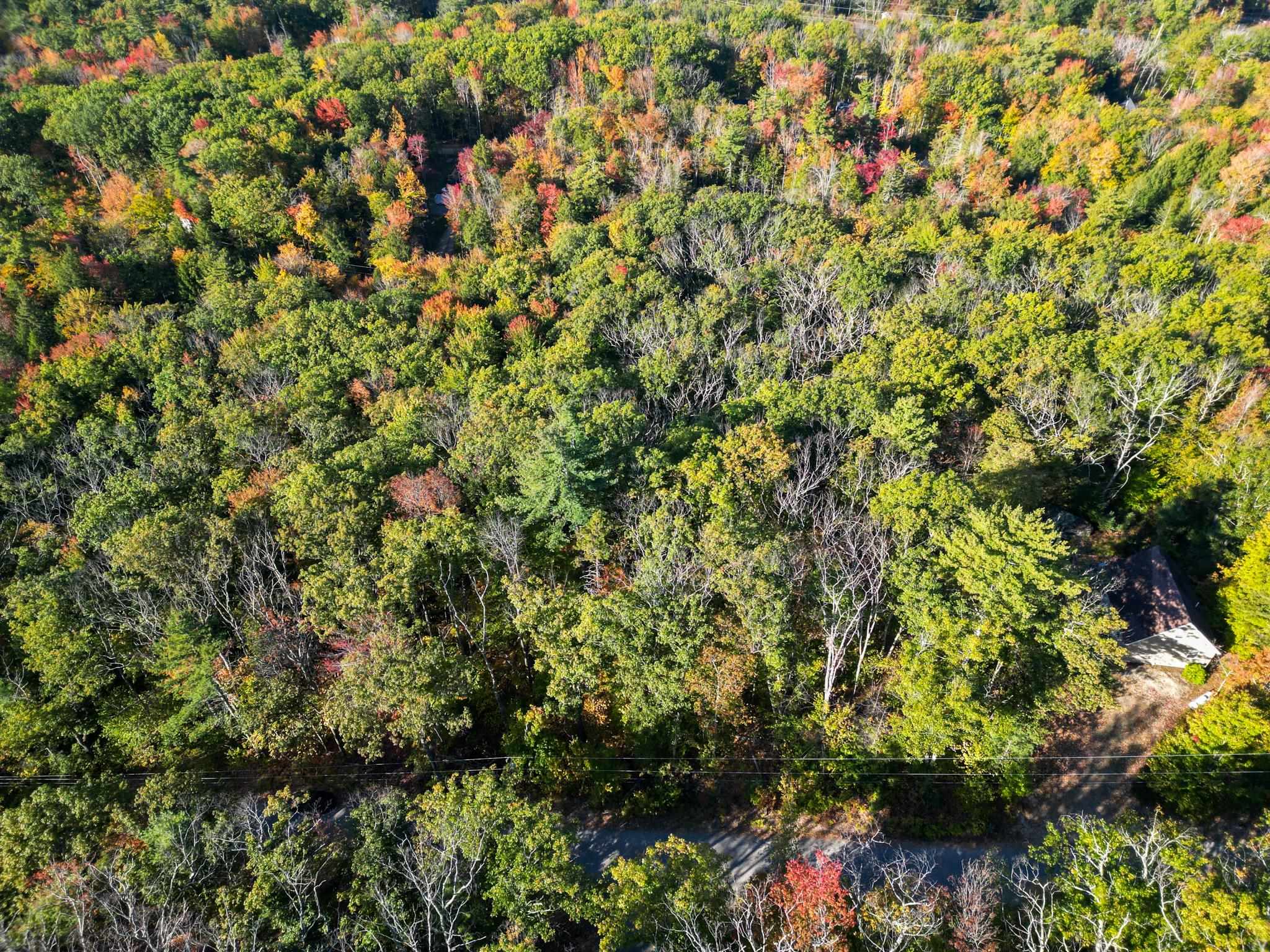 26 St Moritz Drive Madison, NH 03849 - Photo 6 of 21