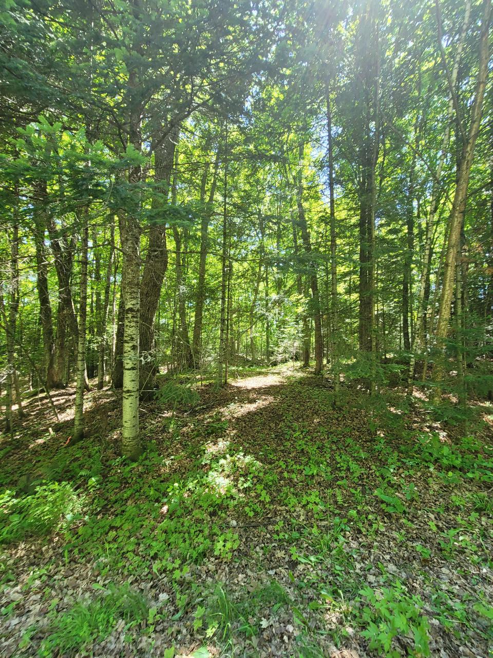 On Bald Eagle Road, Unit LOT 6 Presque Isle, WI 54557 - Photo 1 of 2 Gallery Image 1