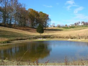 0 Bill Jones Road, Unit 8 Jonesborough, TN 37659 - Photo 1 of 1 Photo 1