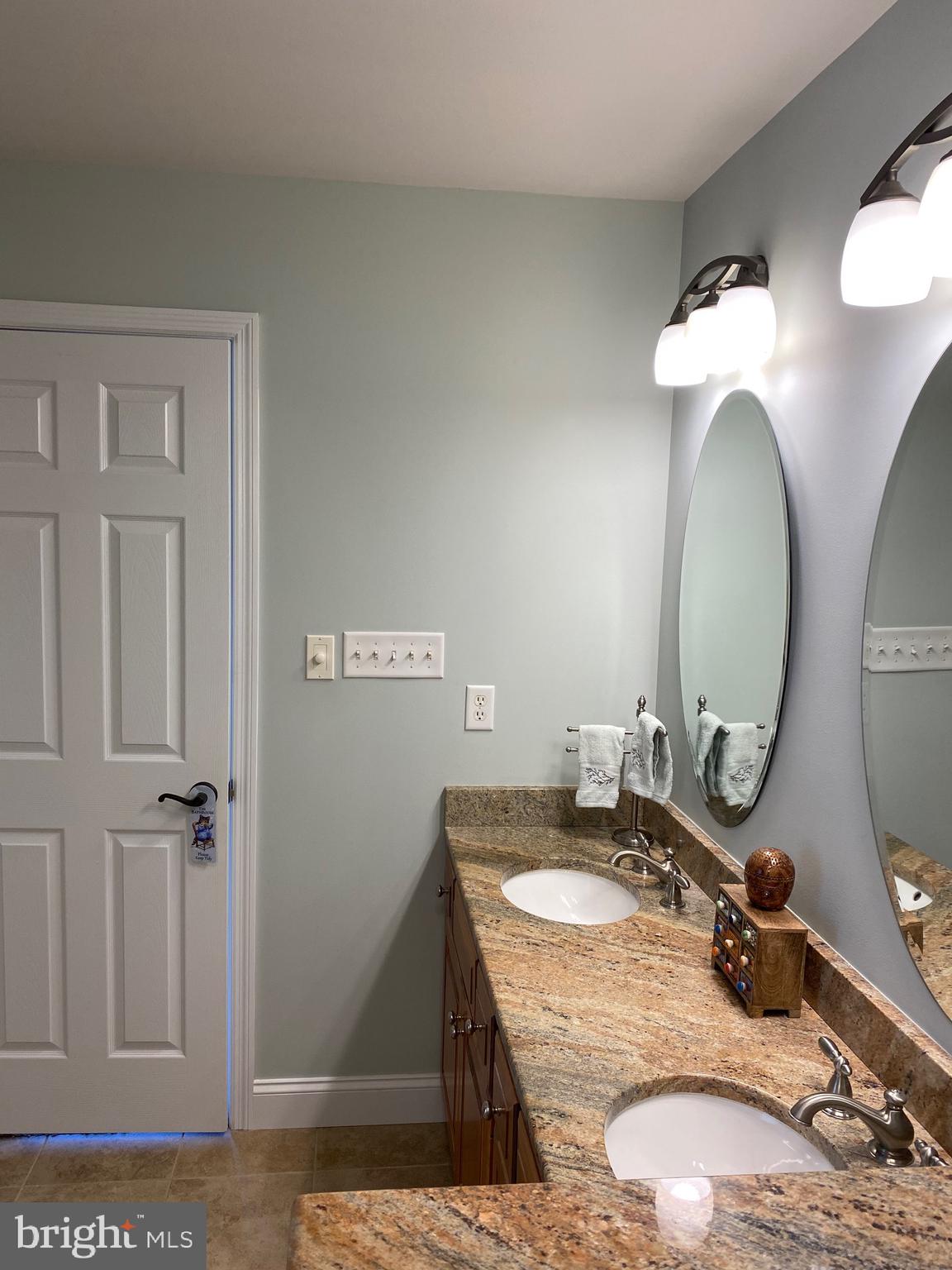 27 Harry Avenue Reading, PA 19607 - Photo 30 of 67 Double Granite Top Sinks