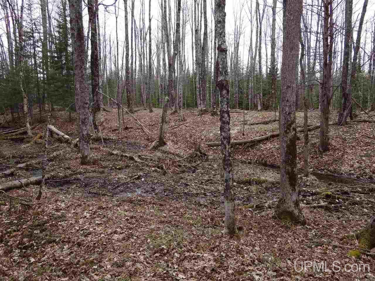 Tbd Dogpatch Road, Unit LOT I Lanse, MI 49946 - Photo 20 of 25