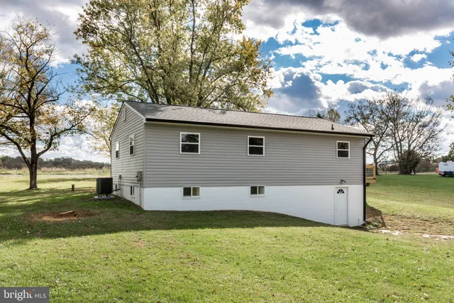 a view of a backyard with large trees