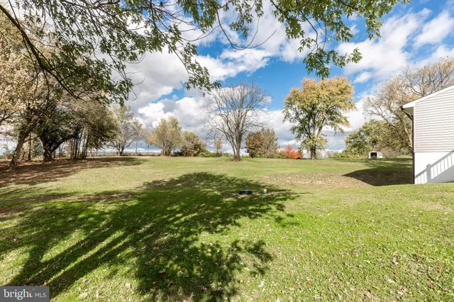 a view of yard with tree