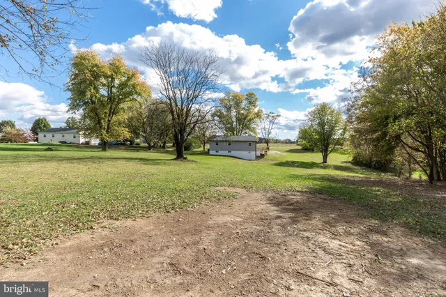 a view of a field with large trees