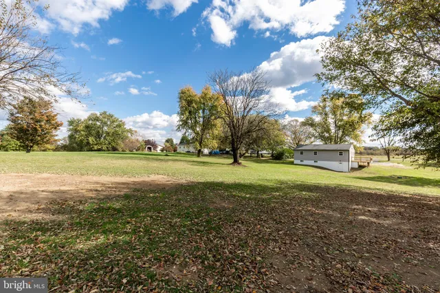 a view of outdoor space with green field and trees all around