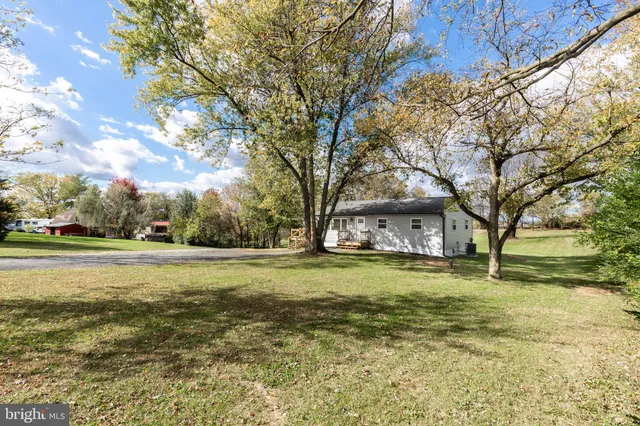 a big yard with trees