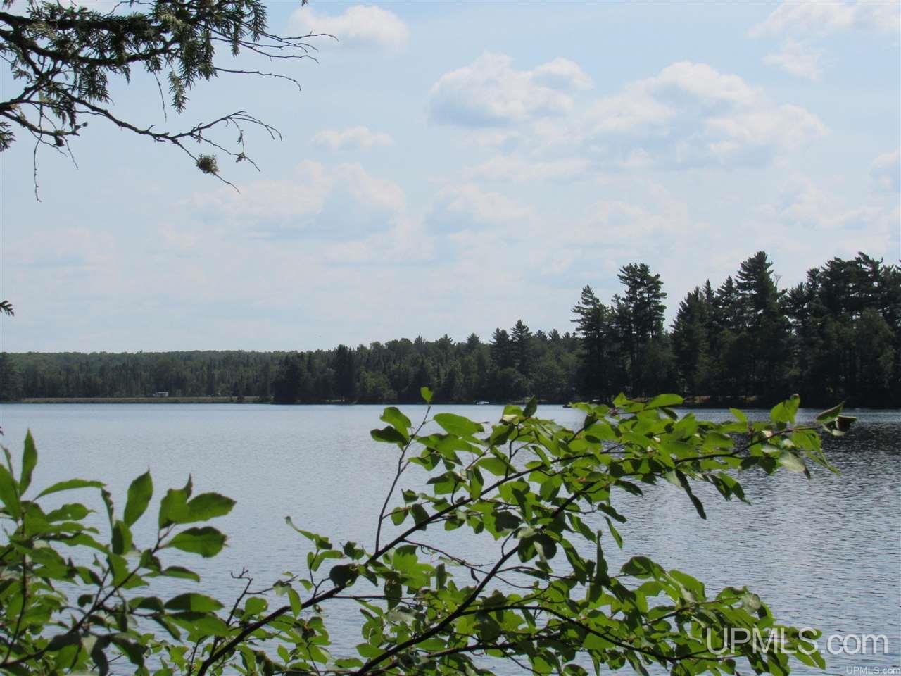Tbd Berry Road Michigamme, MI 49861 - Photo 5 of 17