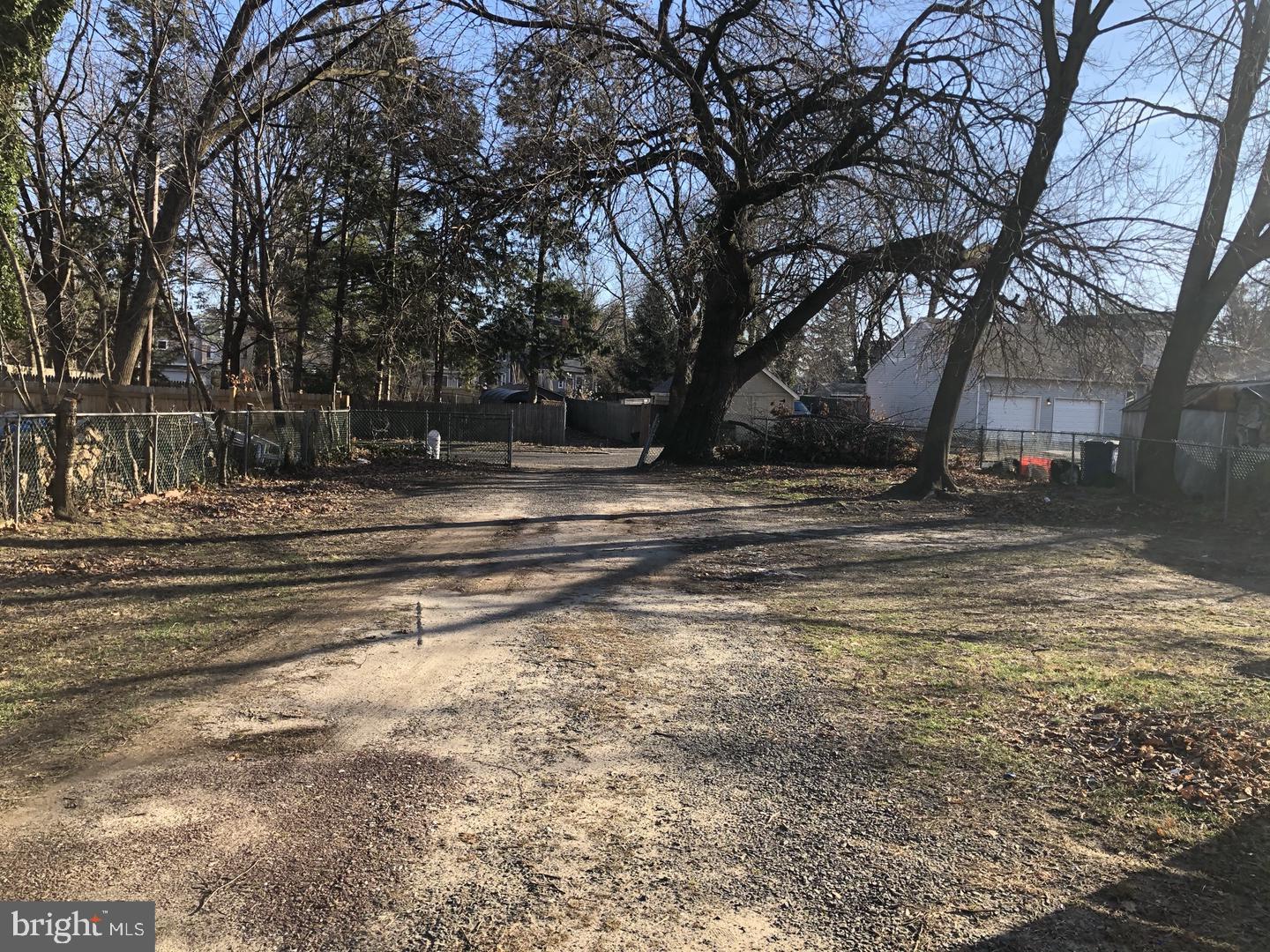 504 Bridge Street Beverly, NJ 08010 - Photo 5 of 13 a view of dirt yard with a large trees
