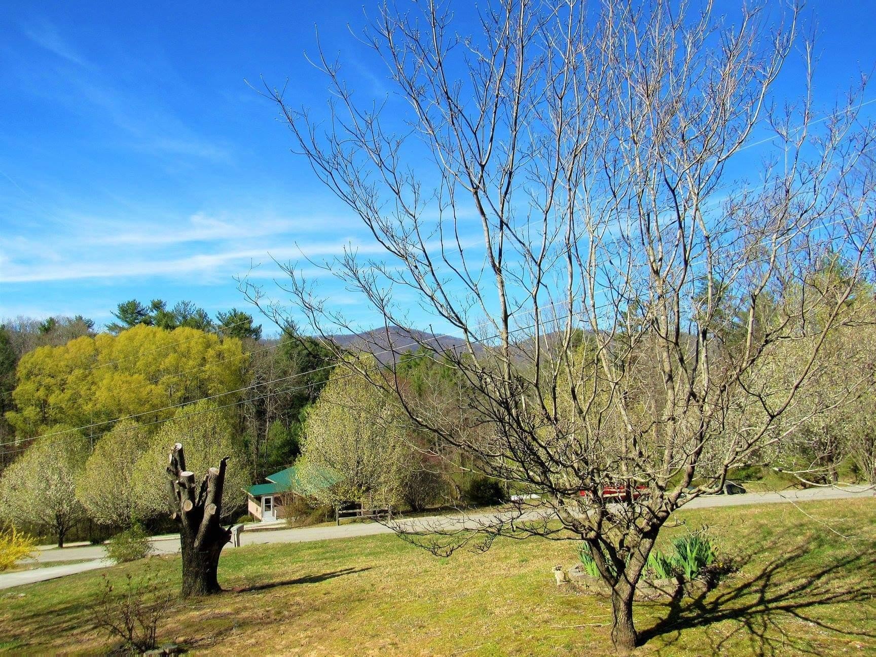 165 Boulder Road Wartburg, TN 37887 - Photo 31 of 36 Gallery Image 31