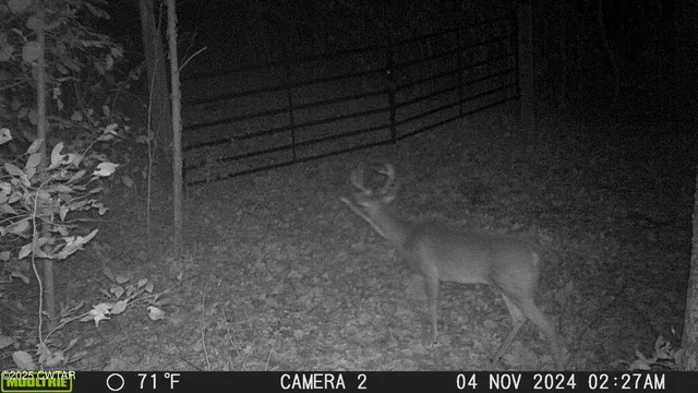 $265,000 | 3454 Treece Road, Hornbeak, TN 38232