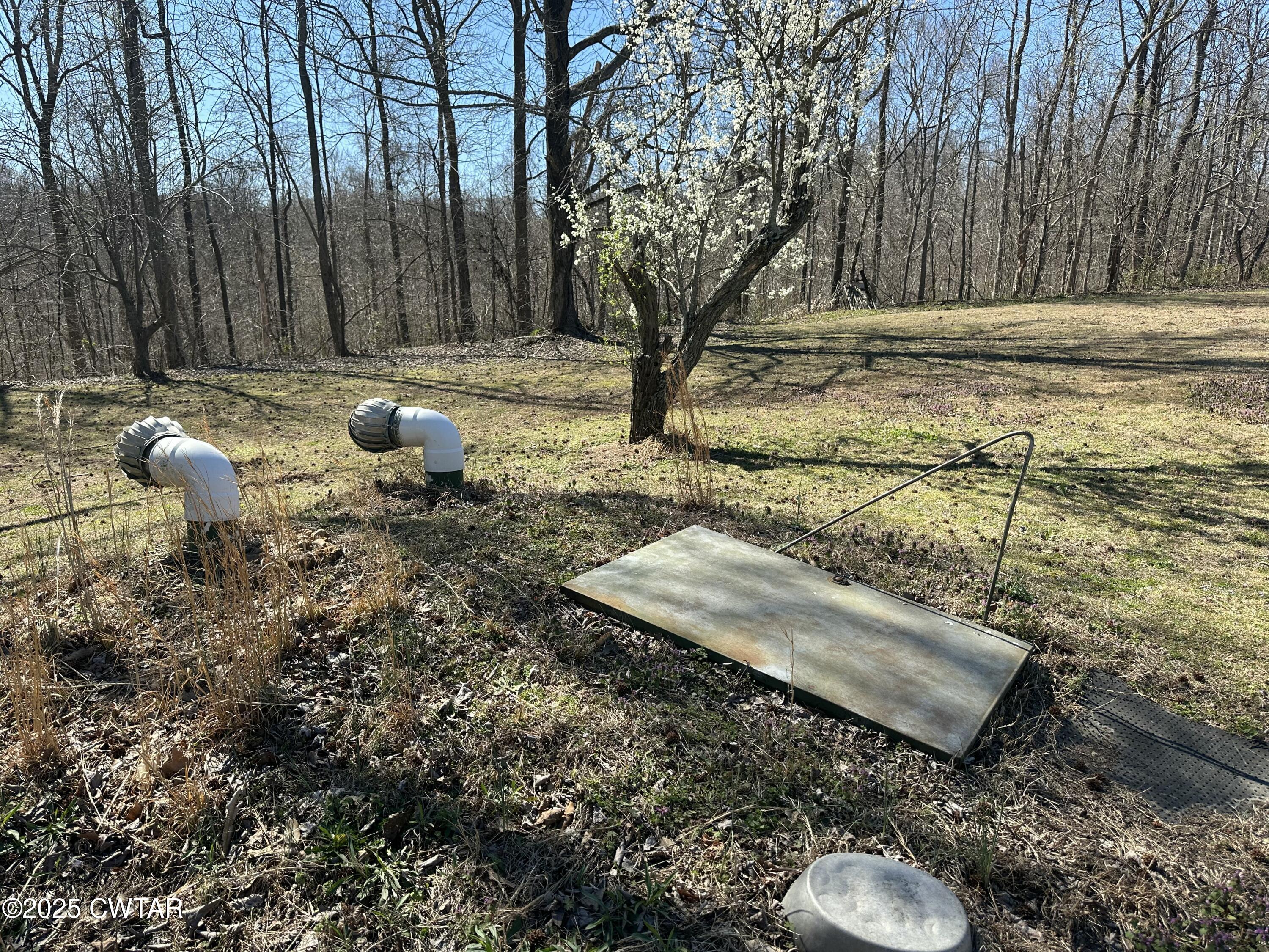 3454 Treece Road Hornbeak, TN 38232 - Photo 26 of 30 IMG_5612