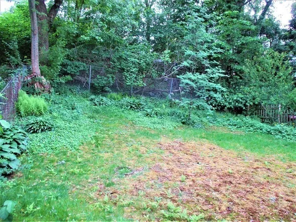 a view of backyard with green space