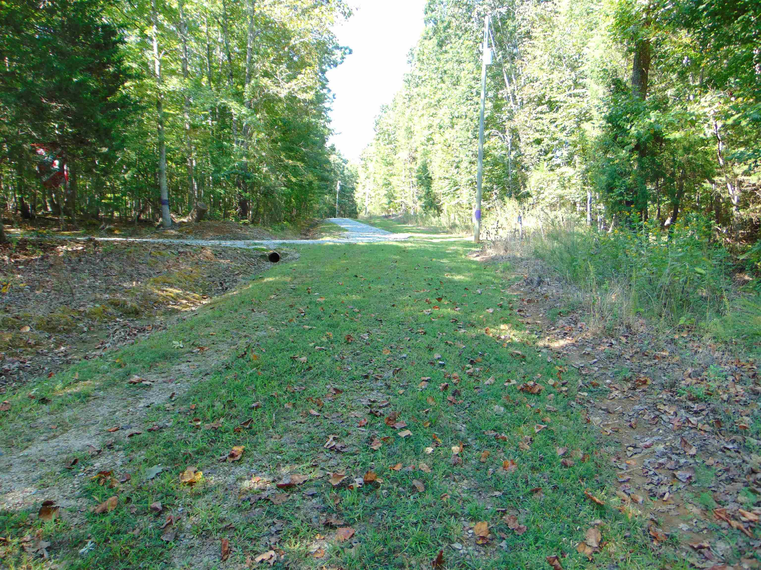 Noel Tuck Road Oxford, NC 27565 - Photo 3 of 34 Photo 3