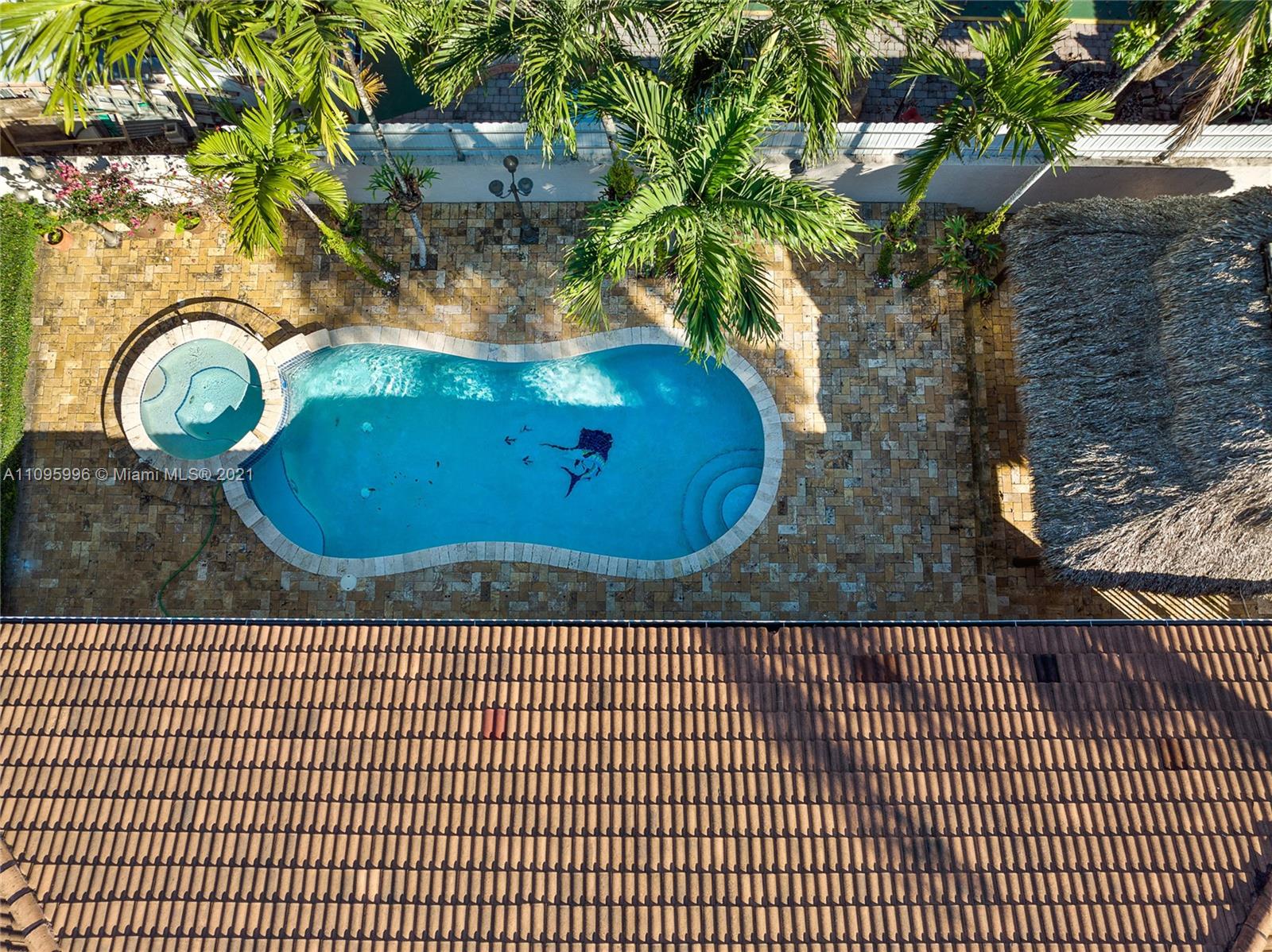 3671 Southwest 139th Court Miami, FL 33175 - Photo 6 of 56 a picture of a tree