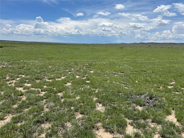 a view of yard with ocean view