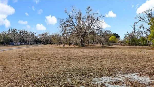 a view of a park with large trees