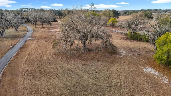 a view of a yard with trees in the background
