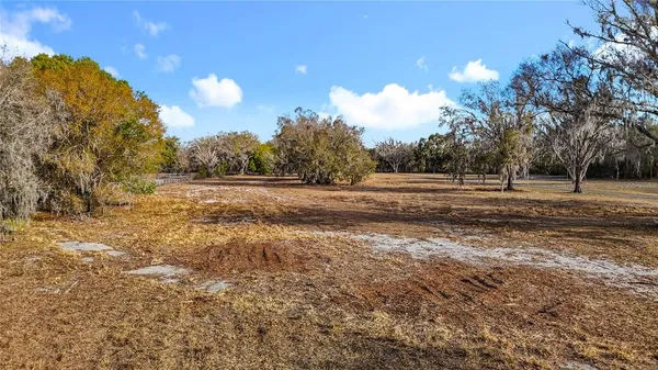 a view of a yard with trees in the background