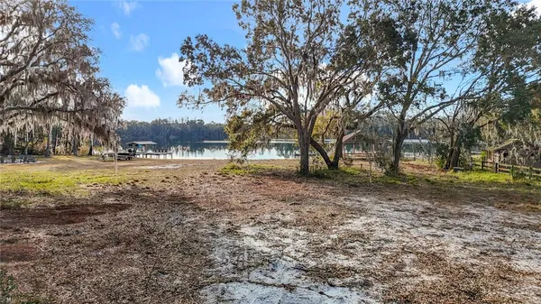 a view of a yard with trees