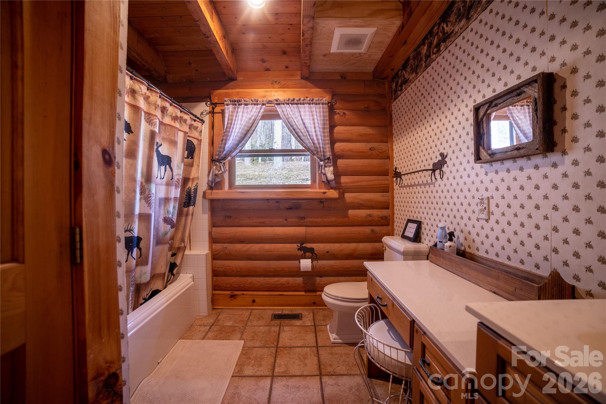 682 Rock House Road Hot Springs, NC 28743 - Photo 13 of 43 a bathroom with a toilet a sink and a shower