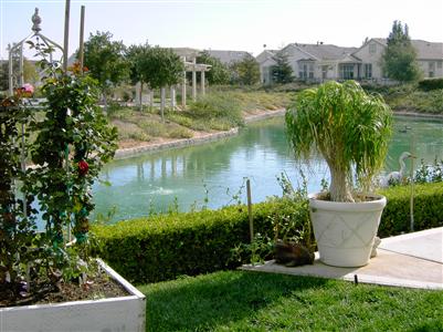 694 Deerfield Way Rio Vista, CA 94571 - Photo 8 of 11 Gallery Image 8