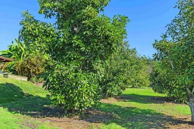 $1,449,000 | 363 Tumble Creek Lane, Fallbrook, CA 92028